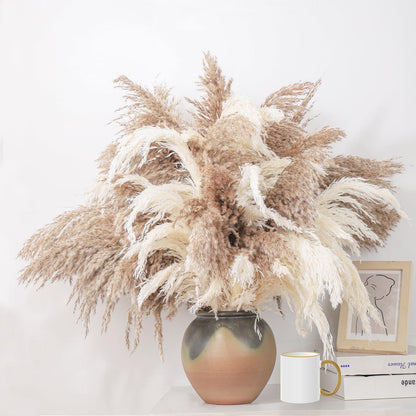 ROOLLYA 28" inch 20 Stems Large Pampas Grass Decor - Fluffy Brown & White Pampas Grass Decor Tall Pompas Grass for Floor Vase - Boho Home Decor