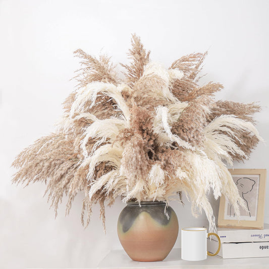 ROOLLYA 28" inch 20 Stems Large Pampas Grass Decor - Fluffy Brown & White Pampas Grass Decor Tall Pompas Grass for Floor Vase - Boho Home Decor